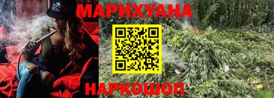 прущие крисы Новозыбков