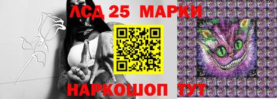 прущие крисы Новозыбков
