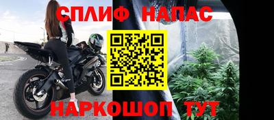 амф Новокубанск