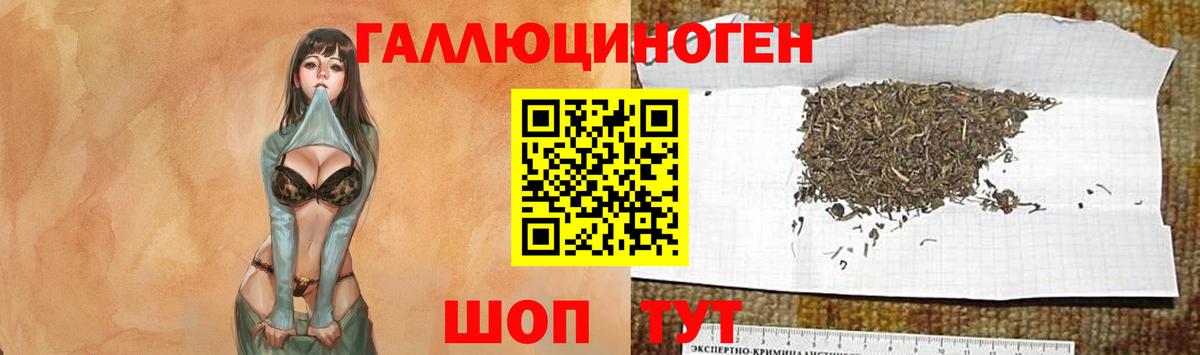 Псилоцибиновые грибы мухоморы Узловая